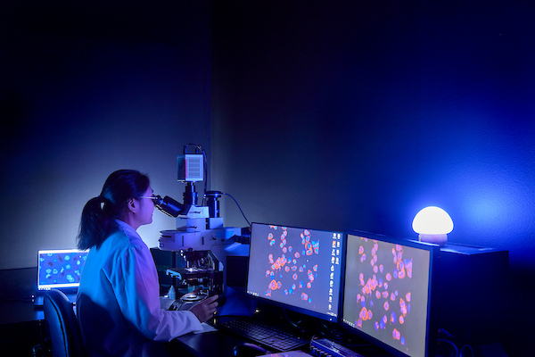 Woman looking at a computer screen