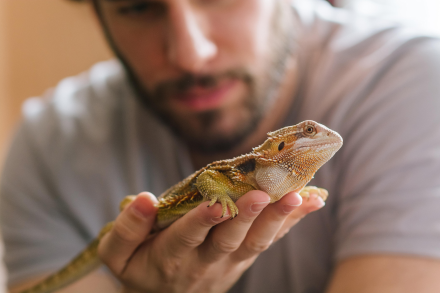 Reptile Therapy